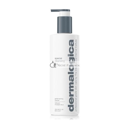 Dermalogica Special Cleansing Gel 500ml