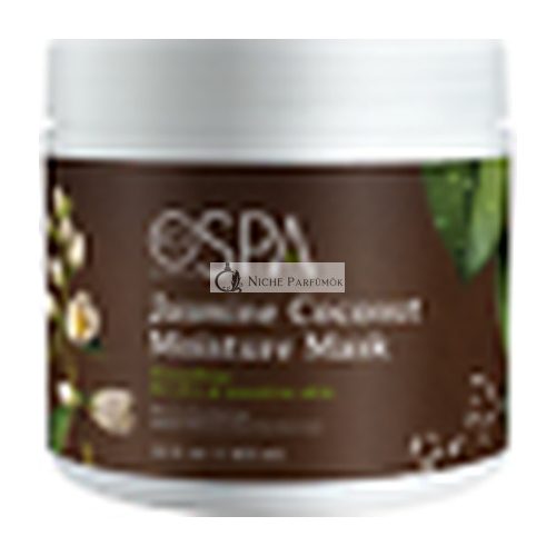 BCL Spa Jasmine Coconut Moisture Mask 16oz