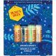 Burt's Bees Lip Balm Gift Set - Beeswax, Vanilla Bean, Cucumber Mint, Coconut