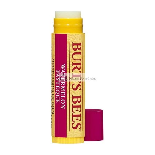 Burt's Bees Watermelon Lip Balm Stick 4.25g