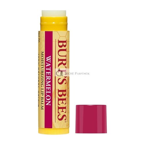 Burt's Bees Watermelon Lip Balm