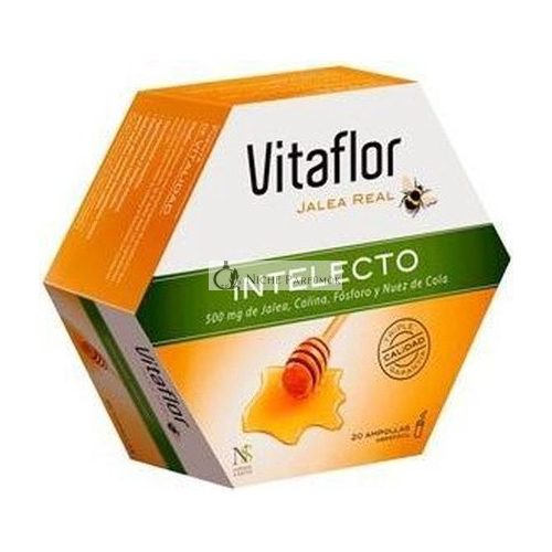 Vitaflor Jalea Real Intelecto 20 Ampules