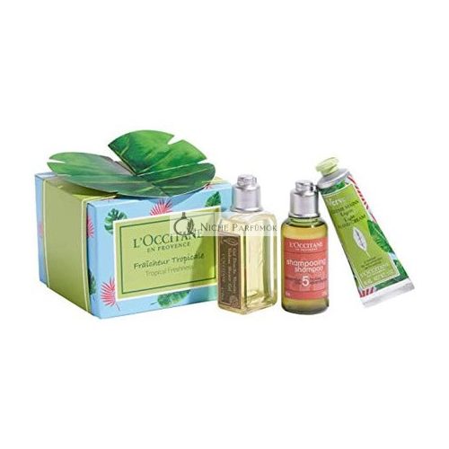 L'Occitane Tropical Freshness 3 Piece Collection