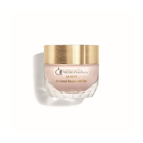 Sisley Day Moisturizer Ideal for Women