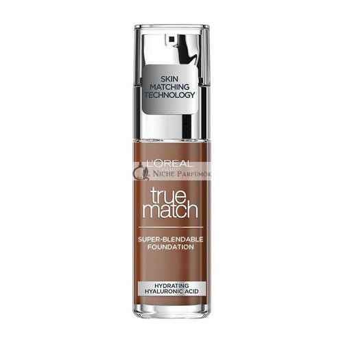 Sale Loreal Paris True Match Foundation 10N CacaoCocoa with Hyaluronic Acid 30ml