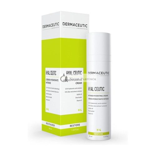 Dermaceutic Hyal Ceutic Intense 24hr Moisturizing Cream with Hyaluronic Acid Aloe Vera Vitamin E and Jojoba Oil 40ml