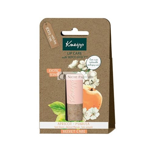 Apricot Lip Balm (Lip Care) 4.7g