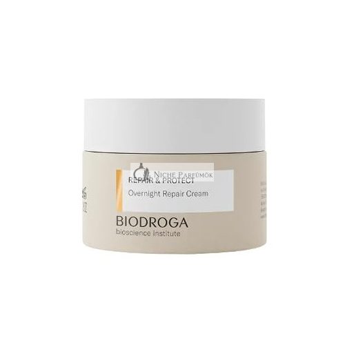 Biodroga Bioscience Institute Repair & Protect Overnight Repair Cream Night Cream 50ml - Anti-Age Moisturizer for Firm Skin, Line Reduction & Energy Boost with Black Forest Complex