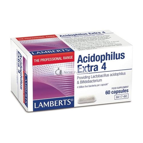 Nutricosmetics Lamberts Acidophilus Extra 4 60 Capsules