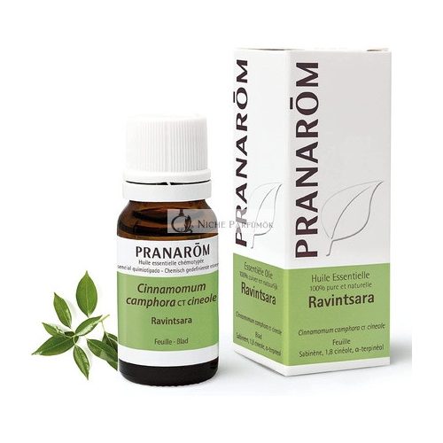 Pranarôm Ravintsara Essential Oil 10ml