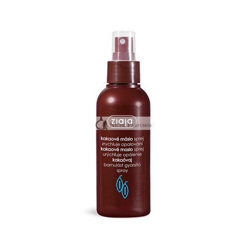 Ziaja Tanning Spray Accelerator 100ml