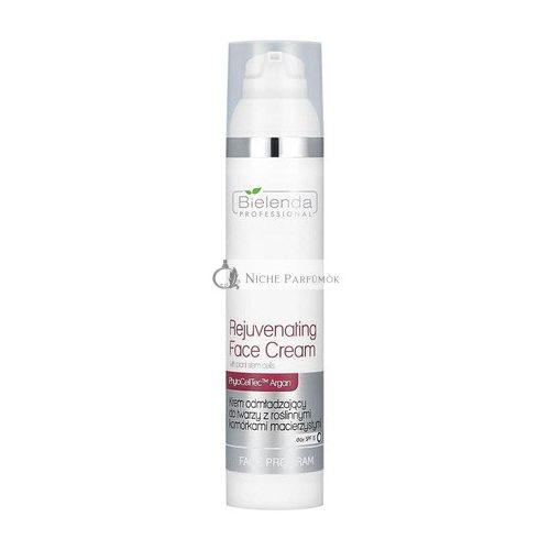 BIELENDA Correction Cream and Anti-Imperfections 100ml