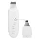 Baffs Dual Clean Ultrasonic Peeling With Two Heads