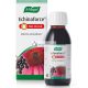 A.Vogel Echinaforce Hot Drink 100ml