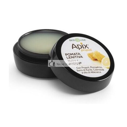 Apix Propolis Salve for Nose/Lips