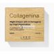 Collagenina Face Night Cream Grade 1 with 6 Collagens for Fast Absorption 50ml