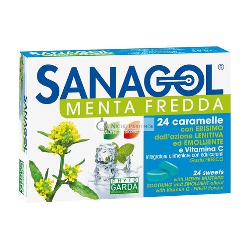 Phyto Garda Sanagol Cold Mint Supplement 24 Candies