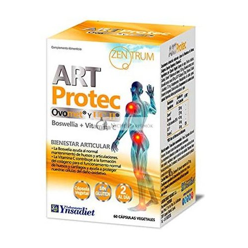 Ynsadiet Art Protec 60cap Zentrum, 70 G