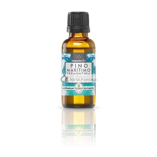 Terpenic Evo Pine 30ml