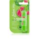 Regina Juicy Summer Watermelon Lip Balm 4 Grams